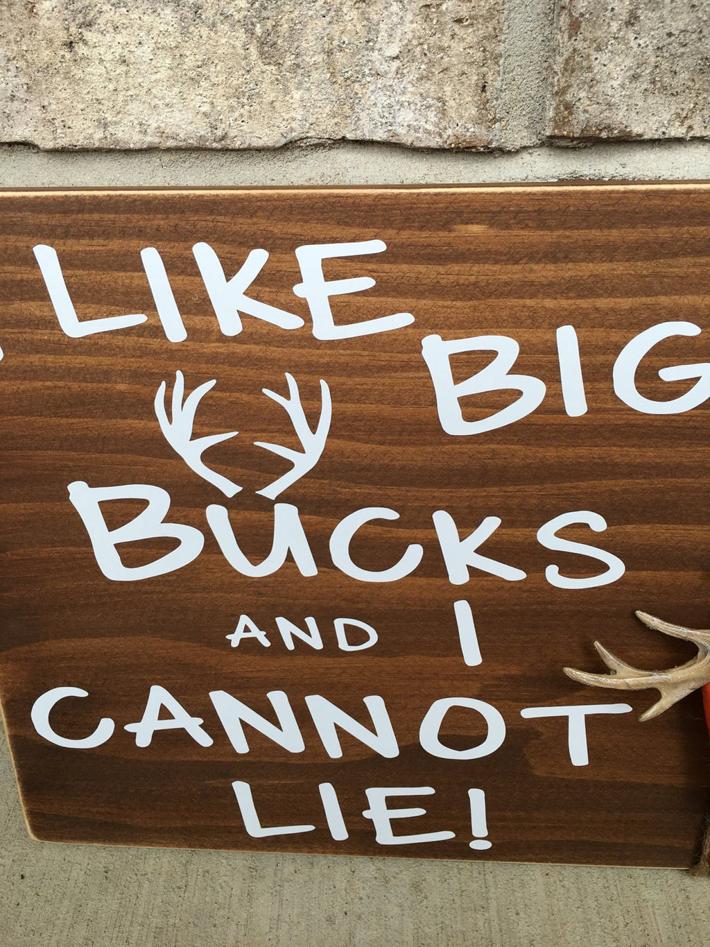 I Like Big Bucks and I Cannot Lie Rustic Hunting / Man Cave Wall Sign