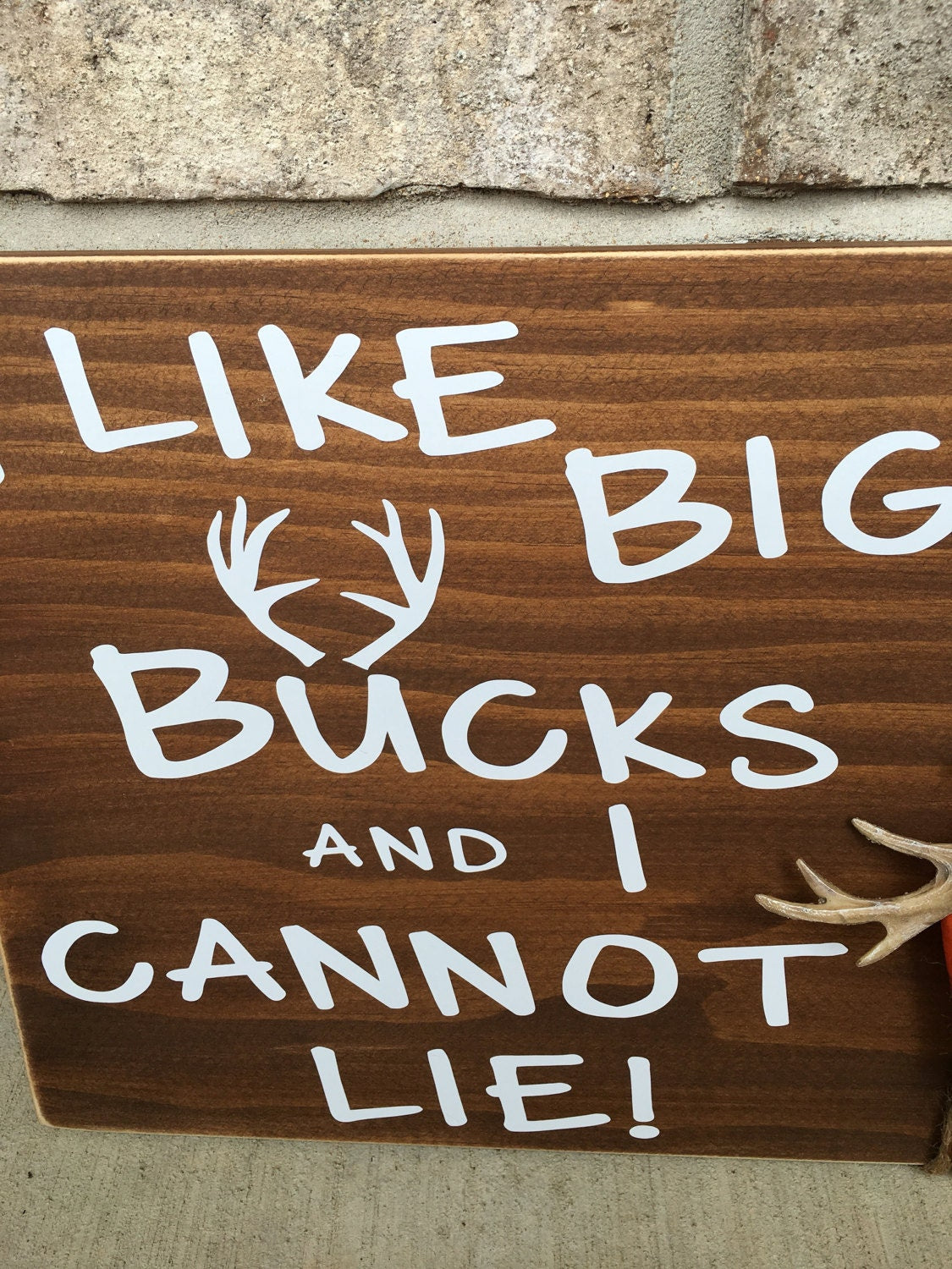 I Like Big Bucks and I Cannot Lie Rustic Hunting / Man Cave Wall Sign