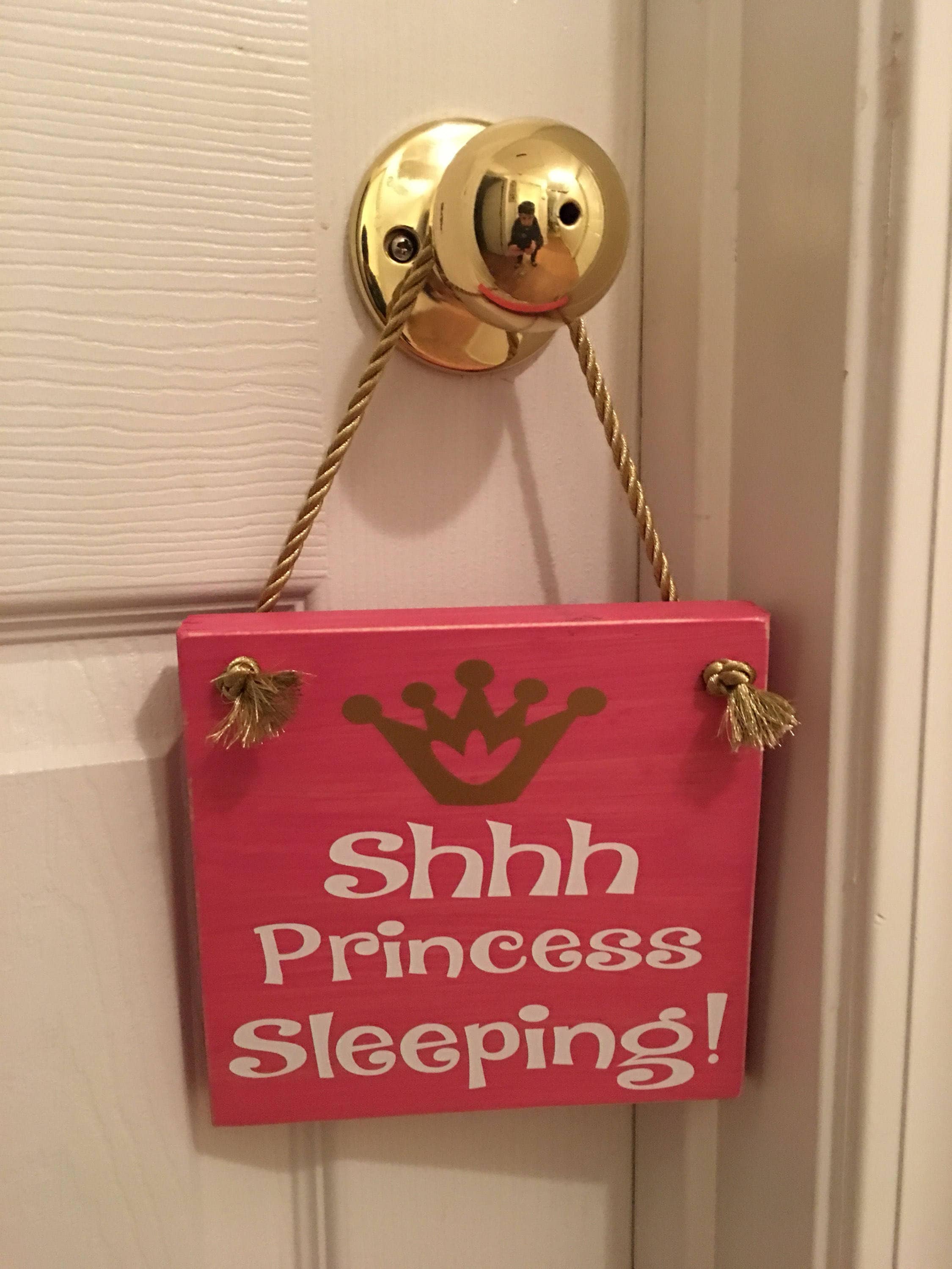Adorable Rustic Pink "Shh Princess Sleeping" Wooden Door Sign for Little Girls Room / Nursery FREE SHIPPING